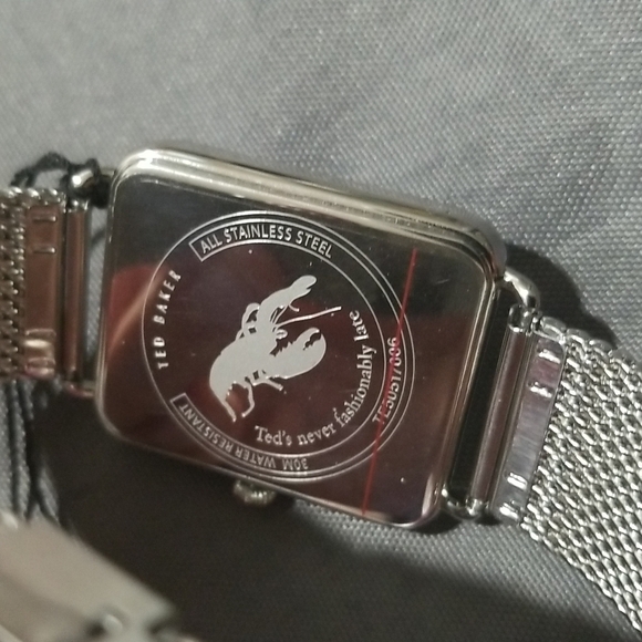 💕TED BAKER LONDON💕 Issaac Rectangular Mesh Watch Silver Blue Face Plate NWT - Picture 9 of 12